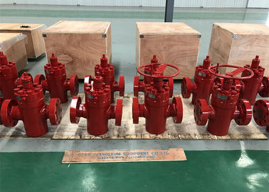 Manual FLS Gate Valve For Oilfield Wellhead 5000psi EE-NL U PSL2 PR2