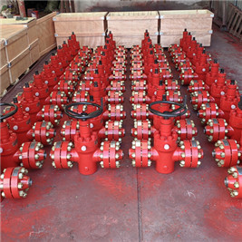 Cameron FC Type Manual High Pressure Gate Valve 16 Inch FF PSL3 PR2